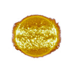 Omega x Swatch | Mission to the sun